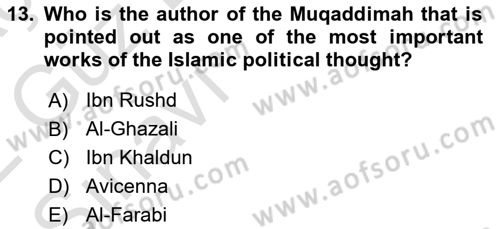 Political Thought Dersi 2021 - 2022 Yılı (Vize) Ara Sınav Soruları 13. Soru