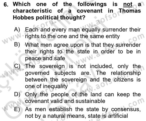 Political Thought Dersi 2021 - 2022 Yılı (Final) Dönem Sonu Sınav Soruları 6. Soru