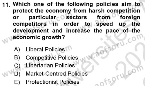 Political Thought Dersi 2021 - 2022 Yılı Yaz Okulu Sınav Soruları 11. Soru