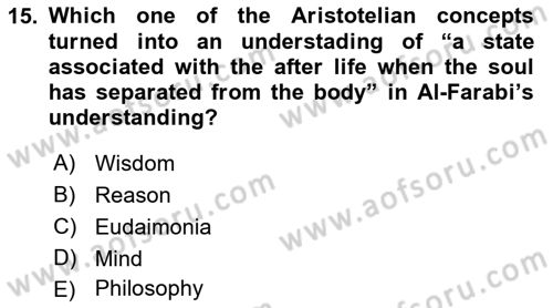 Political Thought Dersi 2022 - 2023 Yılı (Vize) Ara Sınav Soruları 15. Soru