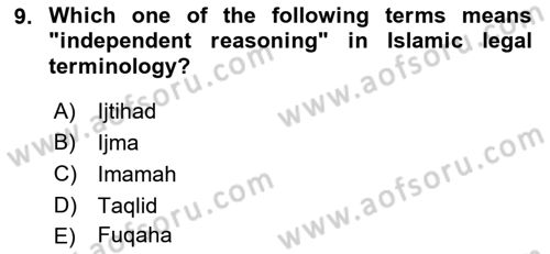 Political Thought Dersi 2022 - 2023 Yılı Yaz Okulu Sınav Soruları 9. Soru