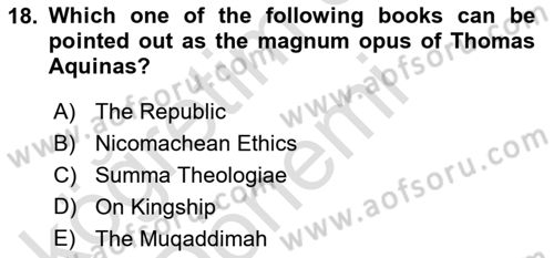 Political Thought Dersi 2023 - 2024 Yılı (Vize) Ara Sınav Soruları 18. Soru