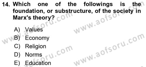 Political Thought Dersi 2023 - 2024 Yılı (Final) Dönem Sonu Sınav Soruları 14. Soru