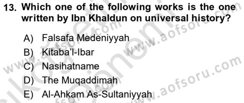 Political Thought Dersi 2024 - 2025 Yılı (Vize) Ara Sınav Soruları 13. Soru