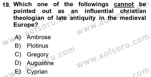 Political Thought Dersi 2024 - 2025 Yılı (Vize) Ara Sınav Soruları 19. Soru