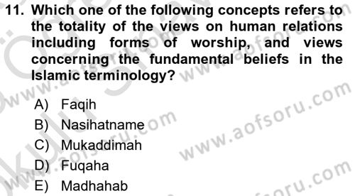 Political Thought Dersi 2024 - 2025 Yılı Yaz Okulu Sınav Soruları 11. Soru