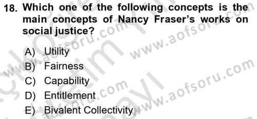 Political Thought Dersi 2024 - 2025 Yılı Yaz Okulu Sınav Soruları 18. Soru