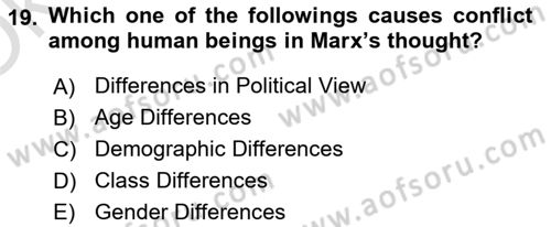 Political Thought Dersi 2024 - 2025 Yılı Yaz Okulu Sınav Soruları 19. Soru