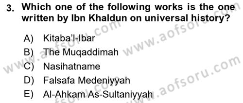 Political Thought Dersi 2024 - 2025 Yılı Yaz Okulu Sınav Soruları 3. Soru