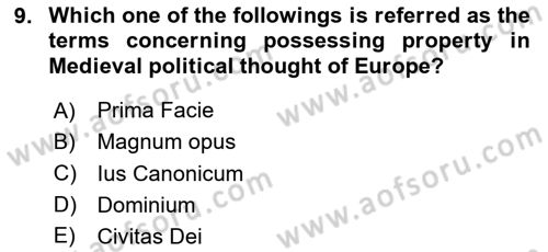 Political Thought Dersi 2024 - 2025 Yılı Yaz Okulu Sınav Soruları 9. Soru