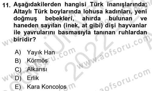 Türk Mitolojisi Dersi 2022 - 2023 Yılı (Vize) Ara Sınavı 11. Soru