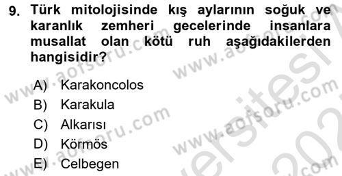 Türk Mitolojisi Dersi Ara Sınavı Deneme Sınav Soruları 9. Soru