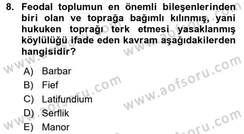 Siyasi Düşünceler Tarihi Dersi 2024 - 2025 Yılı (Vize) Ara Sınav Soruları 8. Soru