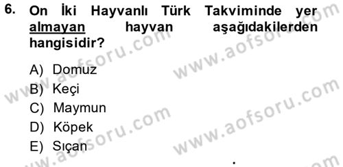 Bilim ve Teknoloji Tarihi Dersi 2014 - 2015 Yılı (Final) Dönem Sonu Sınavı 6. Soru