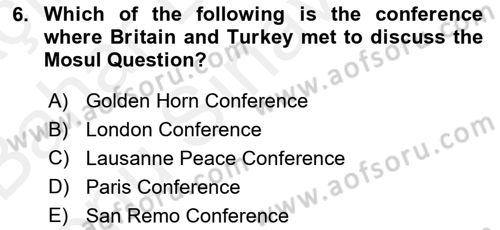 Principles Of Ataturk And The History Of Turkish Revolution 2 Dersi 2018 - 2019 Yılı (Final) Dönem Sonu Sınav Soruları 6. Soru