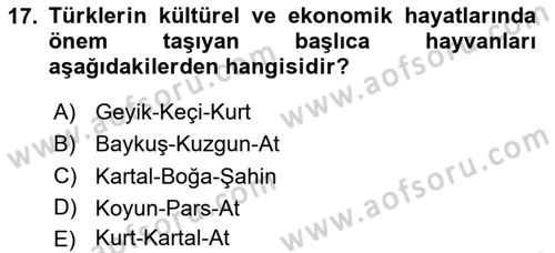 Türk Kültürü Ve Tarihine Giriş Dersi 2023 - 2024 Yılı Yaz Okulu Sınav Soruları 17. Soru