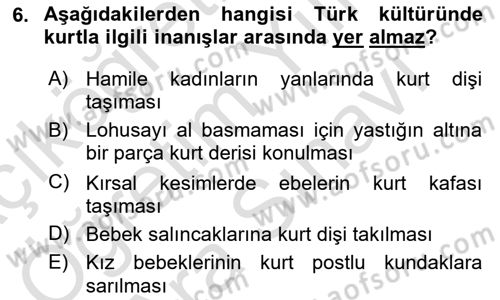 Türk Kültürü Ve Tarihine Giriş Dersi 2025 - 2026 Yılı (Vize) Ara Sınav Soruları 6. Soru