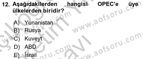 Türkiye Cumhuriyeti İktisat Tarihi Dersi 2018 - 2019 Yılı Yaz Okulu Sınav Soruları 12. Soru
