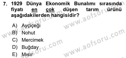 Türkiye Cumhuriyeti İktisat Tarihi Dersi 2018 - 2019 Yılı Yaz Okulu Sınav Soruları 7. Soru