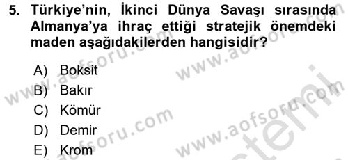 Türkiye Cumhuriyeti İktisat Tarihi Dersi 2023 - 2024 Yılı (Final) Dönem Sonu Sınav Soruları 5. Soru