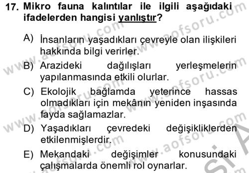 Tarihi Coğrafya Dersi 2014 - 2015 Yılı (Final) Dönem Sonu Sınav Soruları 17. Soru