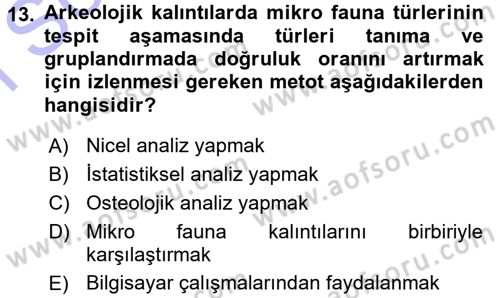 Tarihi Coğrafya Dersi 2015 - 2016 Yılı (Final) Dönem Sonu Sınav Soruları 13. Soru