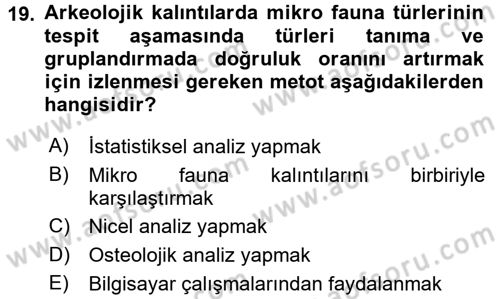 Tarihi Coğrafya Dersi 2016 - 2017 Yılı 3 Ders Sınav Soruları 19. Soru