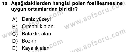 Tarihi Coğrafya Dersi 2016 - 2017 Yılı (Final) Dönem Sonu Sınav Soruları 10. Soru