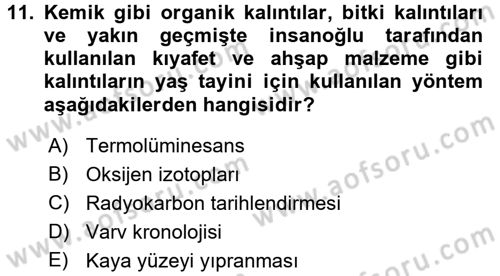 Tarihi Coğrafya Dersi 2016 - 2017 Yılı (Final) Dönem Sonu Sınav Soruları 11. Soru