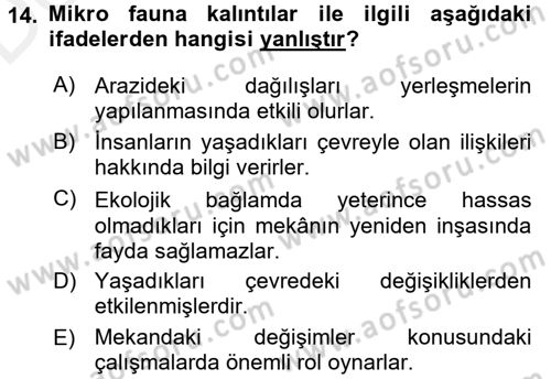 Tarihi Coğrafya Dersi 2017 - 2018 Yılı 3 Ders Sınav Soruları 14. Soru