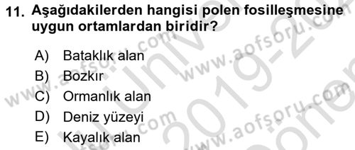 Tarihi Coğrafya Dersi 2019 - 2020 Yılı (Final) Dönem Sonu Sınav Soruları 11. Soru