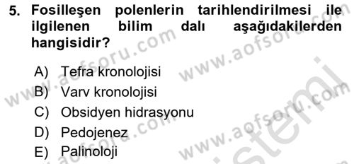 Tarihi Coğrafya Dersi 2019 - 2020 Yılı (Final) Dönem Sonu Sınav Soruları 5. Soru