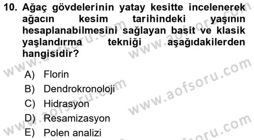 Tarihi Coğrafya Dersi 2020 - 2021 Yılı Yaz Okulu Sınav Soruları 10. Soru