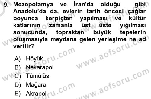 Tarihi Coğrafya Dersi 2020 - 2021 Yılı Yaz Okulu Sınav Soruları 9. Soru