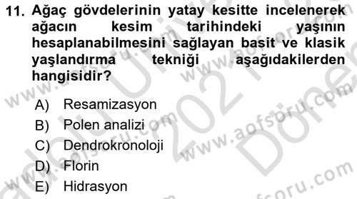 Tarihi Coğrafya Dersi 2021 - 2022 Yılı (Final) Dönem Sonu Sınav Soruları 11. Soru