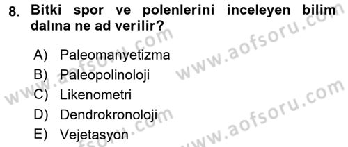 Tarihi Coğrafya Dersi 2021 - 2022 Yılı Yaz Okulu Sınav Soruları 8. Soru