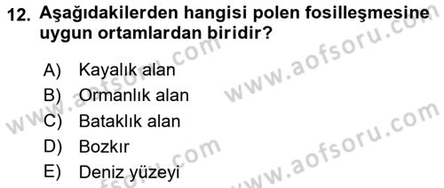 Tarihi Coğrafya Dersi 2024 - 2025 Yılı (Final) Dönem Sonu Sınav Soruları 12. Soru