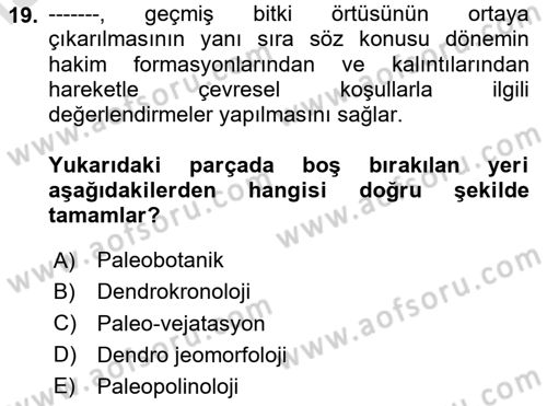 Tarihi Coğrafya Dersi 2024 - 2025 Yılı (Final) Dönem Sonu Sınav Soruları 19. Soru