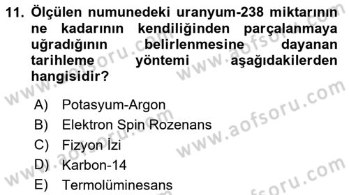 Tarihi Coğrafya Dersi 2024 - 2025 Yılı Yaz Okulu Sınav Soruları 11. Soru