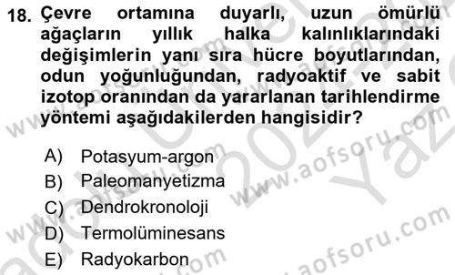 Tarihi Coğrafya Dersi 2024 - 2025 Yılı Yaz Okulu Sınav Soruları 18. Soru