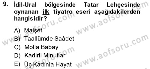 XIX. Yüzyıl Türk Dünyası Dersi 2013 - 2014 Yılı (Vize) Ara Sınav Soruları 9. Soru