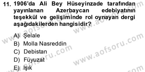 XIX. Yüzyıl Türk Dünyası Dersi 2014 - 2015 Yılı (Final) Dönem Sonu Sınav Soruları 11. Soru