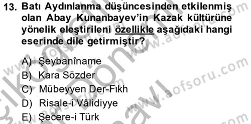 XIX. Yüzyıl Türk Dünyası Dersi 2014 - 2015 Yılı (Final) Dönem Sonu Sınav Soruları 13. Soru