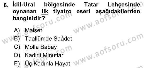 XIX. Yüzyıl Türk Dünyası Dersi 2015 - 2016 Yılı (Vize) Ara Sınav Soruları 6. Soru