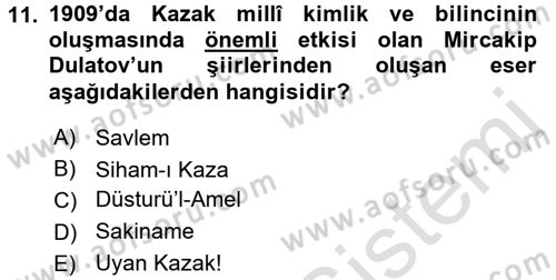 XIX. Yüzyıl Türk Dünyası Dersi 2015 - 2016 Yılı (Final) Dönem Sonu Sınav Soruları 11. Soru