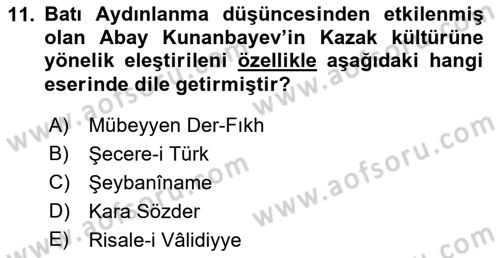 XIX. Yüzyıl Türk Dünyası Dersi 2018 - 2019 Yılı 3 Ders Sınav Soruları 11. Soru