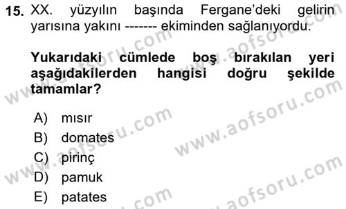 XIX. Yüzyıl Türk Dünyası Dersi 2018 - 2019 Yılı 3 Ders Sınav Soruları 15. Soru