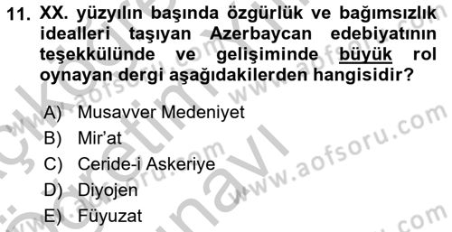 XIX. Yüzyıl Türk Dünyası Dersi 2018 - 2019 Yılı Yaz Okulu Sınav Soruları 11. Soru