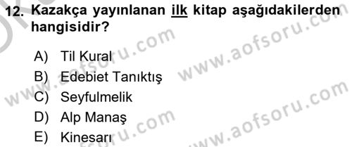 XIX. Yüzyıl Türk Dünyası Dersi 2018 - 2019 Yılı Yaz Okulu Sınav Soruları 12. Soru