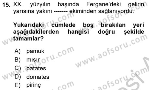 XIX. Yüzyıl Türk Dünyası Dersi 2018 - 2019 Yılı Yaz Okulu Sınav Soruları 15. Soru